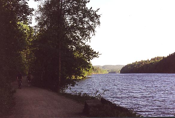 nksmr1.jpg (50655 bytes)